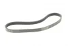 <strong>Пас поліклиновий Ford Focus 1.4/1.6i 03-/Volvo C30 CONTITECH 6PK1059 ELAST T2 (фото 5)</strong>