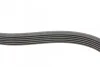 <strong>Пас поліклиновий Ford Focus 1.4/1.6i 03-/Volvo C30 CONTITECH 6PK1059 ELAST T2 (фото 6)</strong>
