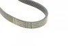 <strong>Пас поліклиновий Ford Focus 1.4/1.6i 03-/Volvo C30 CONTITECH 6PK1059 ELAST T2 (фото 7)</strong>
