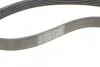 <strong>Пас поліклиновий Ford Focus 1.4/1.6i 03-/Volvo C30 CONTITECH 6PK1059 ELAST T2 (фото 8)</strong>