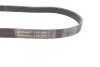 <strong>Пас поліклиновий BMW M3 (E90) 07-13/Peugeot 306 1. CONTITECH 6PK1065 (фото 2)</strong>