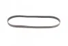 <strong>Пас поліклиновий BMW M3 (E90) 07-13/Peugeot 306 1. CONTITECH 6PK1065 (фото 4)</strong>