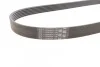 <strong>Пас поліклиновий VW Caddy 1.6-2.0TDI 15-/Peugeot 2 CONTITECH 6PK1070 (фото 2)</strong>