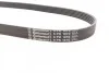 <strong>Пас поліклиновий VW Caddy 1.6-2.0TDI 15-/Peugeot 2 CONTITECH 6PK1070 (фото 3)</strong>