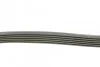 <strong>Комплект (ремінь+ролики) CONTITECH 6PK1070K1 (фото 2)</strong>