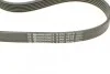 <strong>Комплект (ремінь+ролики) CONTITECH 6PK1070K1 (фото 3)</strong>