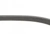 <strong>Ремінь поліклиновий Skoda Fabia 1,4 16V ContiTech CONTITECH 6PK1075 (фото 2)</strong>