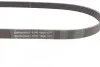 <strong>Пас поліклиновий VW Crafter 2.0 TDI 11-16/Golf 1.4 CONTITECH 6PK1080 (фото 2)</strong>