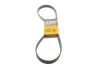 <strong>Ремінь генератора поліклиновий CONTITECH 6PK1080 EXTRA (фото 1)</strong>