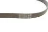<strong>Ремінь генератора поліклиновий CONTITECH 6PK1080 EXTRA (фото 2)</strong>