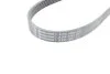 <strong>Ремінь CONTITECH 6PK1084 (фото 2)</strong>