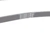 <strong>Ремінь CONTITECH 6PK1084 (фото 3)</strong>