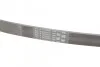 <strong>Ремінь поліклиновий CONTITECH 6PK1090 (фото 3)</strong>