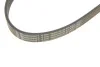 <strong>Ремінь генератора CONTITECH 6PK1090 ELAST (фото 4)</strong>