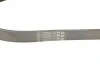 <strong>Пас поліклиновий VW Golf/Caddy 1.4 04-10/E CONTITECH 6PK1100 (фото 2)</strong>