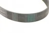 <strong>Ремінь поліклиновий CONTITECH 6PK1105 (фото 3)</strong>