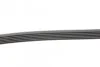 <strong>Пас поліклиновий Fiat Scudo/Citroen Berlingo 1.9D CONTITECH 6PK1110 (фото 2)</strong>