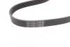 <strong>Пас поліклиновий Skoda Octavia/VW Golf 1.6-2.0/1.9 CONTITECH 6PK1120 (фото 3)</strong>