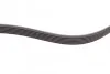 <strong>Пас поліклиновий Skoda Octavia/VW Golf 1.6-2.0/1.9 CONTITECH 6PK1120 (фото 4)</strong>