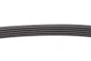 <strong>Поліклиновий ремінь CONTITECH 6PK1120 EXTRA (фото 3)</strong>