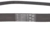 <strong>Поліклиновий ремінь CONTITECH 6PK1120 EXTRA (фото 4)</strong>