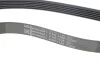 <strong>Роликовий модуль натягувача ременя (ролик, ремінь) CONTITECH 6PK1130K3 (фото 3)</strong>