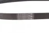 <strong>Пас поліклиновий Renault Master 2.2/2.5dCi 00-/Peugeot CONTITECH 6PK1145 (фото 2)</strong>
