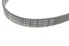 <strong>Поклиновий ремень CONTITECH 6PK1157EXTRA (фото 2)</strong>