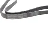 <strong>Комплект пасу поліклинового CONTITECH 6PK1165K1 (фото 2)</strong>
