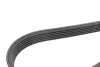 <strong>Комплект пасу поліклинового CONTITECH 6PK1165K1 (фото 3)</strong>