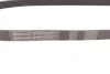 <strong>Пас поліклиновий Citroen Jumper/Fiat Ducato 2.0/2 CONTITECH 6PK1173 (фото 2)</strong>