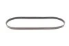 <strong>Пас поліклиновий Citroen Jumper/Fiat Ducato 2.0/2 CONTITECH 6PK1173 (фото 3)</strong>