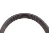 <strong>Пас поліклиновий Citroen Jumper/Fiat Ducato 2.0/2 CONTITECH 6PK1173 (фото 4)</strong>