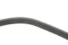 <strong>Комплект пасу поліклинового CONTITECH 6PK1173K1 (фото 2)</strong>