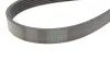 <strong>Комплект пасу поліклинового CONTITECH 6PK1173K1 (фото 3)</strong>