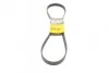 <strong>Пас поліклиновий Fiat Ducato 2.0JTD 01- (ALT) CONTITECH 6PK1180 (фото 1)</strong>