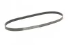 <strong>Пас поліклиновий Fiat Ducato 2.0JTD 01- (ALT) CONTITECH 6PK1180 (фото 4)</strong>