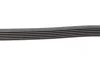 <strong>Пас поліклиновий Renault Kangoo 1.9D 97-/Mazda 3/6 CONTITECH 6PK1190 (фото 3)</strong>