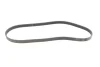 <strong>Пас поліклиновий Renault Kangoo 1.9D 97-/Mazda 3/6 CONTITECH 6PK1190 (фото 4)</strong>