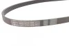 <strong>Пас поліклиновий Renault Kangoo/Logan/Scenic/Talisman CONTITECH 6PK1200 (фото 2)</strong>