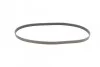 <strong>Пас поліклиновий Renault Kangoo/Logan/Scenic/Talisman CONTITECH 6PK1200 (фото 4)</strong>
