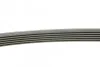 <strong>Комплект (ремінь+ролики) CONTITECH 6PK1200K1 (фото 2)</strong>