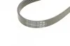 <strong>Комплект (ремінь+ролики) CONTITECH 6PK1200K1 (фото 3)</strong>