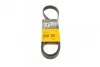 <strong>Ремінь полікліновий (Вир-во ContiTech) CONTITECH 6PK1205 (фото 1)</strong>