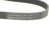 <strong>Ремінь полікліновий (Вир-во ContiTech) CONTITECH 6PK1205 (фото 4)</strong>