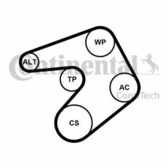 Комплект (ремень+ролики)) для CONTITECH 6PK1205K1 фото товара