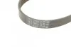 <strong>Пас поліклиновий Fiat Scudo/Peugeot Expert 2.0 MJTD CONTITECH 6PK1217 (фото 3)</strong>