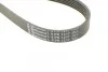 <strong>Пас поліклиновий Fiat Scudo/Peugeot Expert 2.0 MJTD CONTITECH 6PK1217 (фото 4)</strong>