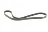 <strong>Пас поліклиновий Fiat Scudo/Peugeot Expert 2.0 MJTD CONTITECH 6PK1217 (фото 5)</strong>
