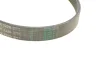 <strong>Поліклиновий ремінь CONTITECH 6PK1220 (фото 3)</strong>